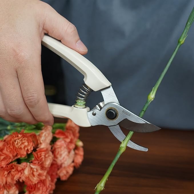 BUGUI Pruning Shears Garden Shears - Premium Alloy Steel Bypass Pruner, Precision-ground Blades, Heavy Duty Gardening Tools, 7" (H101)