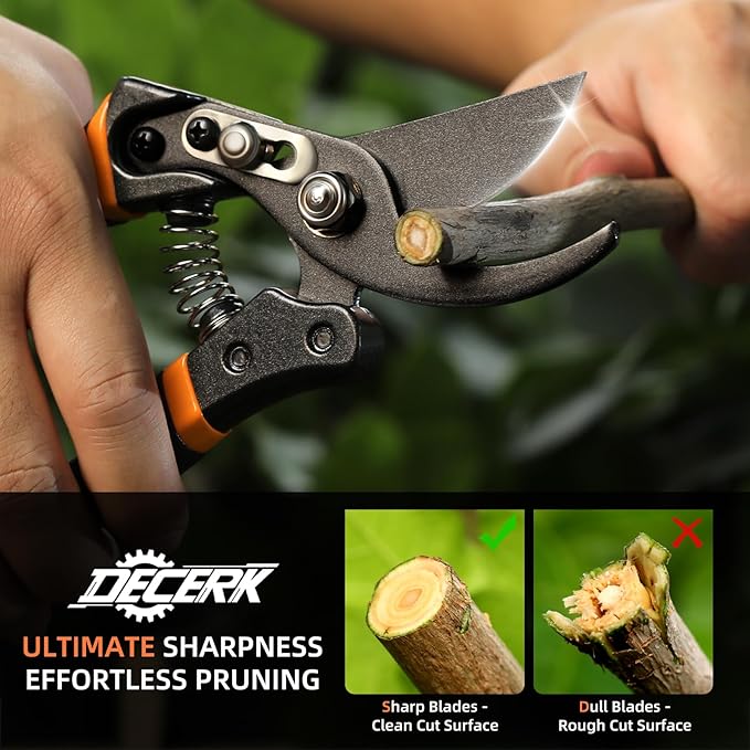 Pruning Shears for Gardening, 8.5" Professional Bypass Garden Scissors & Hedge Clippers for Branch, Plant Trimming, Heavy Duty Hand Pruner【Titanium Blade】【Arthritis Friendly】【Ergonomic Handle】