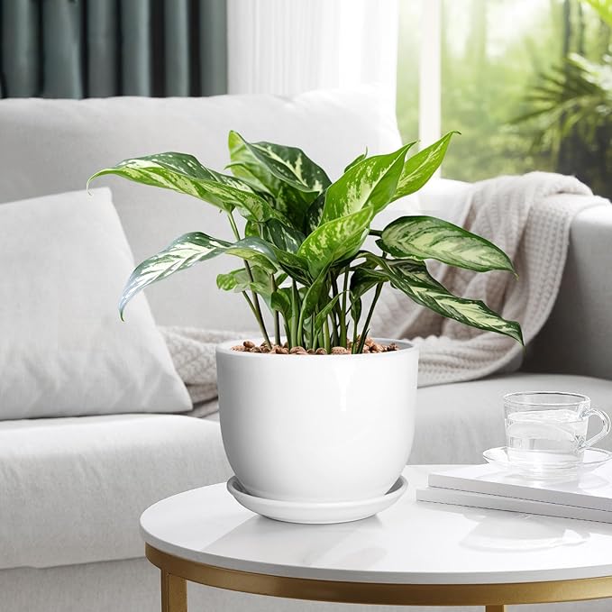 8 Inch Ceramic Planter, Plant Pots with Drainage Hole and Separable Saucer,Indoor-Outdoor Round Succulent Orchid Flower Pot,Indoor pots for Plants(Smooth White,Plant Pot only)