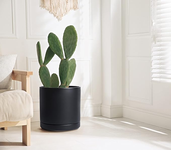 D'vine Dev 12 Inch Ceramic Planter Pot with Drainage Hole and Saucer, Indoor Cylinder Round Planter Pot, Black, 94-O-F-2