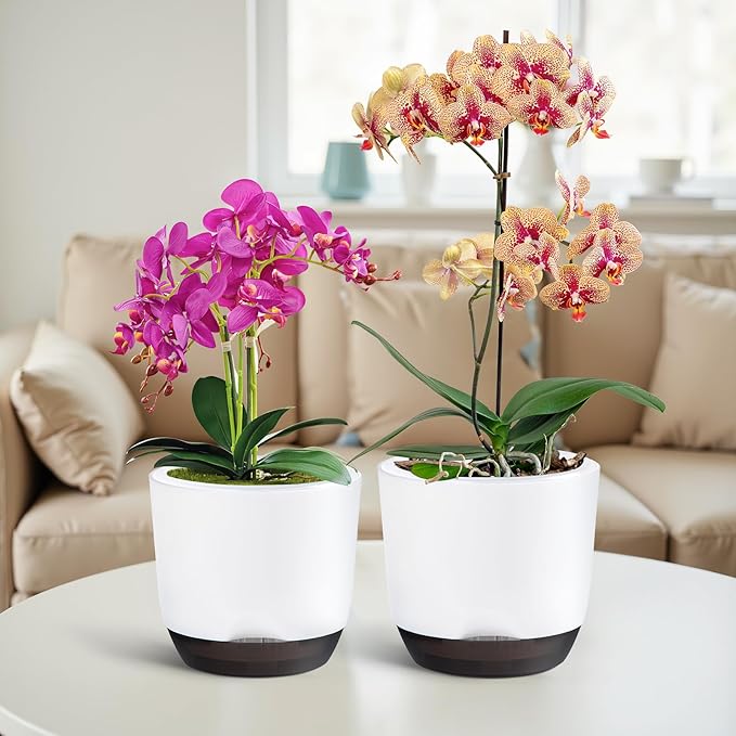 QCQHDU 2 Pack Orchid Pots with Holes for Repotting, Double-Layer and Self Watering Orchid Pot with Good Air Circulation