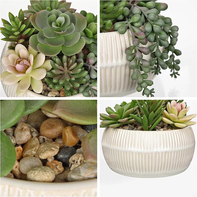 DILATATA Artificial Succulent Plants in Pot 5.5 Inch Fake Succulents Arrangement Potted Plant in White Ceramic Planter Bowl for Home Office Desk Shelf Living Room Bedroom Bathroom Decor