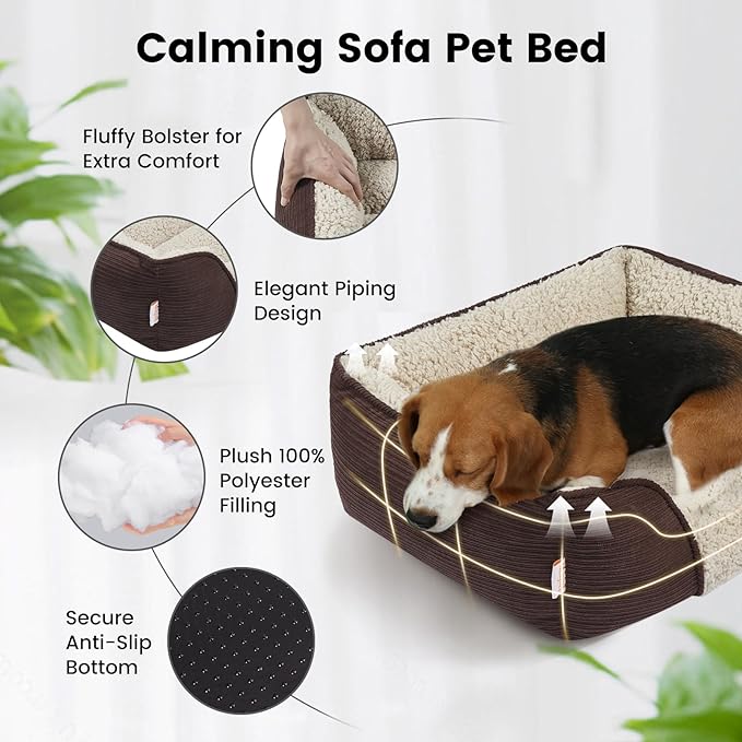 Miguel Washable Cat Beds for Indoor Cats, Easy to Wash Small Pet Sofa with Removable Cushion, Rectangle Bolster Kitten Bed with Anti-Slip Bottom, Brown 18 Inch
