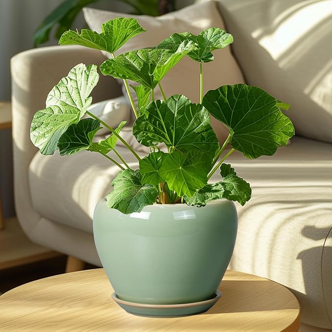 8 Inch Plant Pot - Ceramic Planter for Outdoor Plants Indoor Plant Pot with Drainage Hole and Saucer Mid-Century Round Planter Flower Pot for House Garden Green