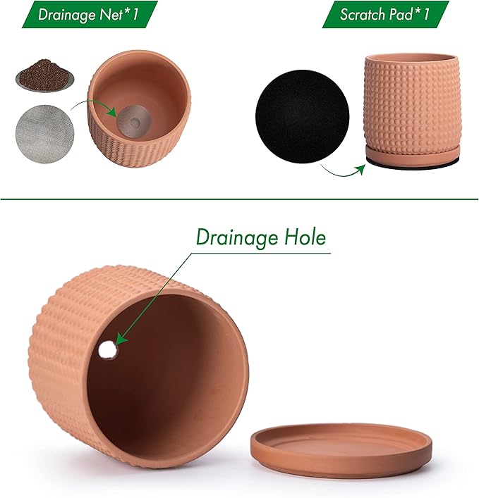 D'vine Dev 6 Inch Terracotta Beaded Planter Pot - Flower Pot with Drainage Hole and Saucer for Indoor Succulent Plants or Flowers, Terracotta, 27-C-X-7
