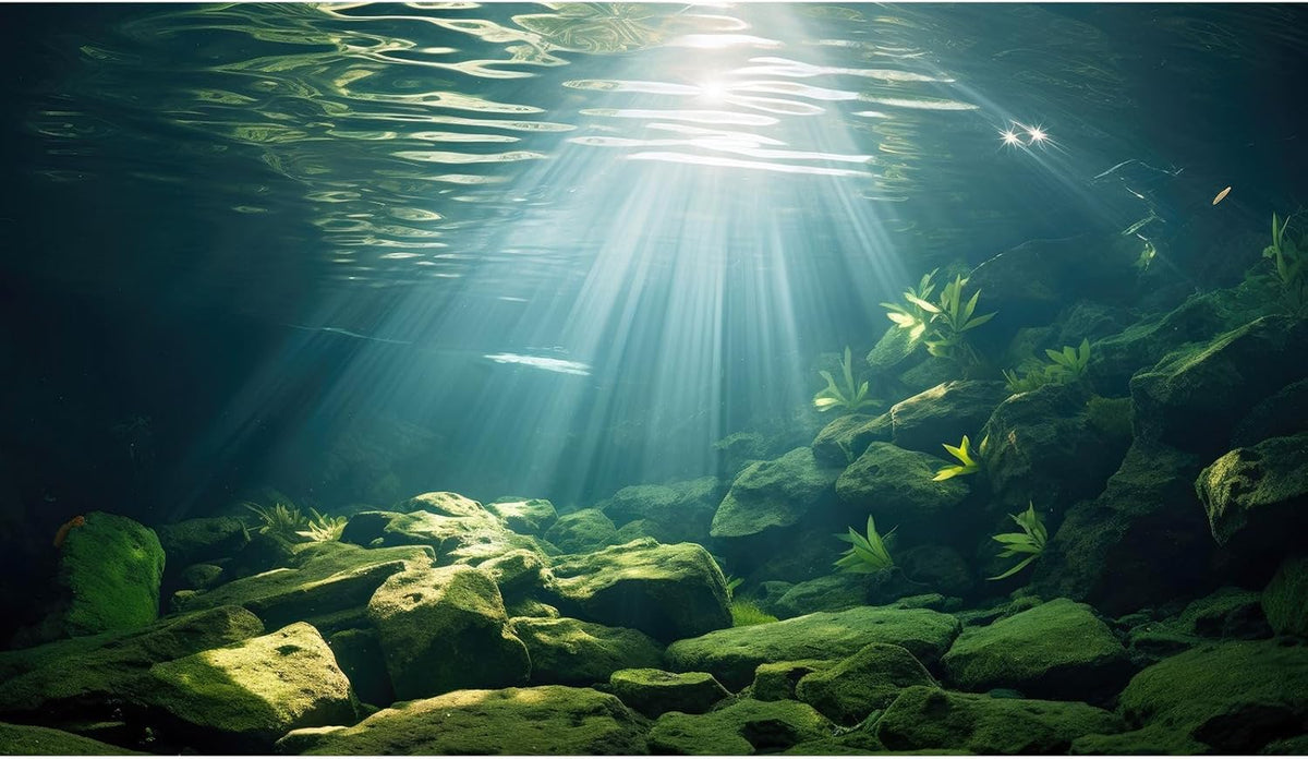 Under The Sea Aquarium Background Aquatic Plants Deep Sea Fish Tank Background Underwater Sunray Rock Terrarium Backgrounds Deep Ocean Floor Tropical Fish Tank Backgrounds 72x24in
