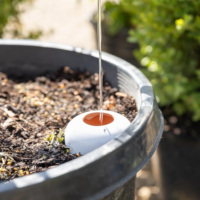 Plant Self Watering Globes - Terracotta Watering Spikes - Slow Release Olla Pots - Holds 16 oz - Drip Irrigiation Olla System