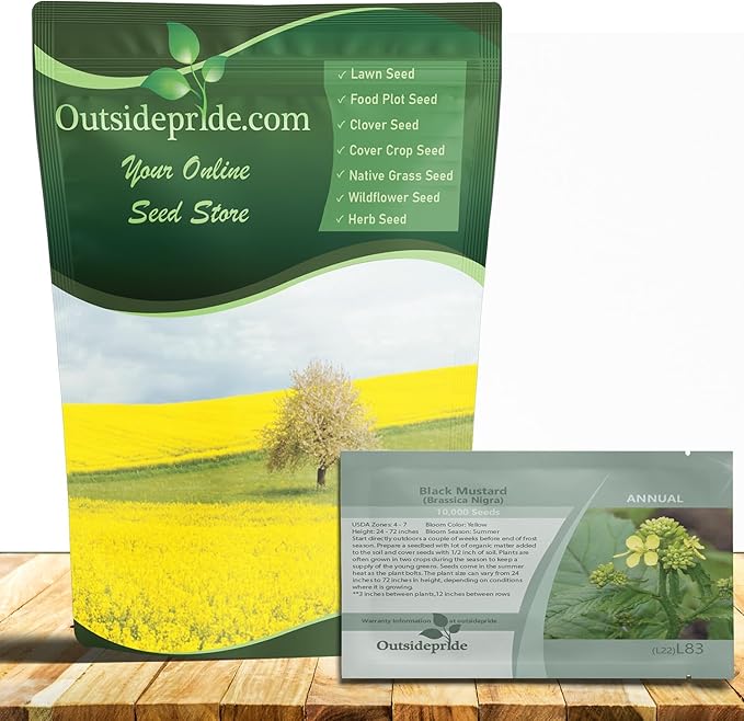 Outsidepride Black Mustard Seeds - 5000 Pcs Nutrient-Rich, Flavorful Annual Microgreen Seeds for Planting, Easy-to-Grow, Ideal for Indoor & Outdoor Cultivation, Soil & Hydroponic Systems