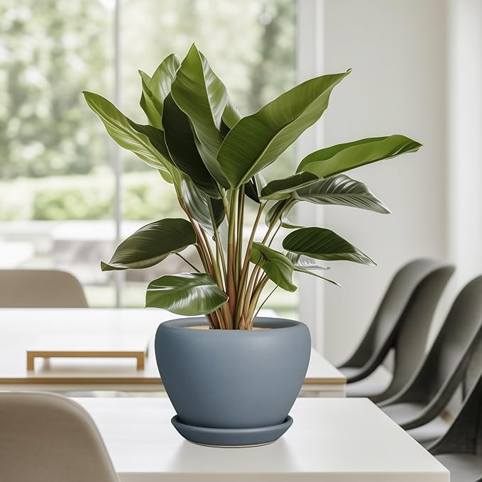 Ceramic Pot for Plants - 6 Inch Plant Pot Indoor with Drainage Hole and Saucer Decorative Planter for Outdoor Plants Modern Succulent Pots Round Flower Pots Gray