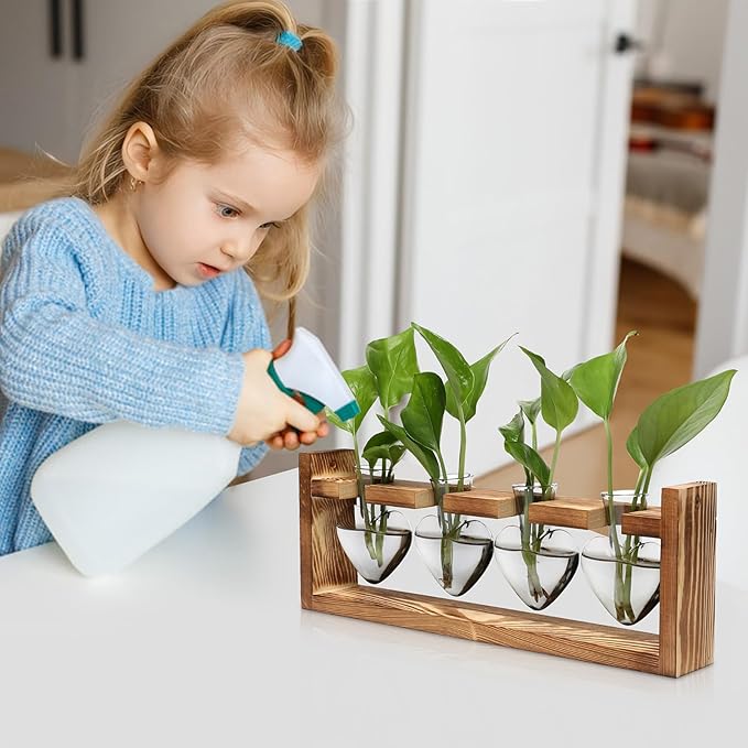 Plant Propagation Stations Heart Plant Terrarium Kit Gift for Women Plant Lover Glass Vases