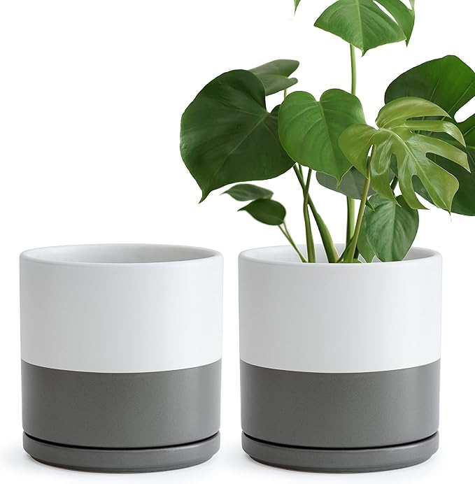 D'vine Dev Set of 2 Plants Pots, 8 Inch Ceramic Planter Pot for Plants with Drainage Hole and Saucer, White/Speckled Grey, 94-V-D-6
