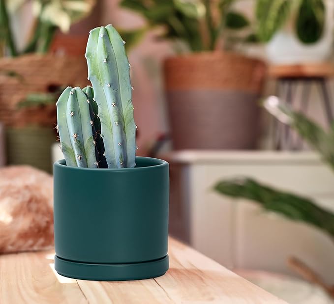 D'vine Dev 4.6 Inch, Ceramic Planter Pot with Drainage Hole and Saucer, Indoor Cylinder Round Planter Pot, Teal, 94-O-B-9