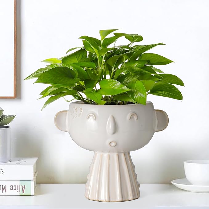 Face Planter Pot 7 Inch - Cute Ceramic Flower Head Planter for Indoor Outdoor Succulent Pot with Drainage Hole Flower Pot Present for Mother Christmas White