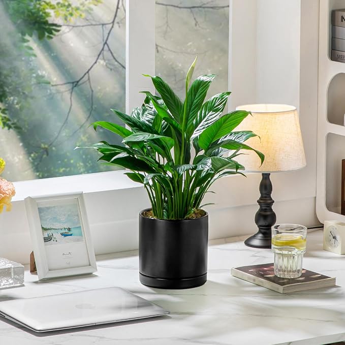 vancasso Ceramic Plant Pots, 3 Piece Planters for Indoor Plants, 4.25+5.25+6.25 Inch Flower Pots with Drainage, Plant Pots Indoor for Succulent, Pothos, Snake Plant and Money Tree, Etc (Black)