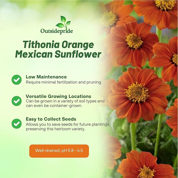 Outsidepride Goldfinger Mexican Sunflower Seeds - 1000 Pcs Annual, Easy-to-Grow, Orange Tithonia Speciosa Flower Seeds w/Drought-Tolerant Blooms for Pollinator Gardens & Vibrant Summer Landscaping