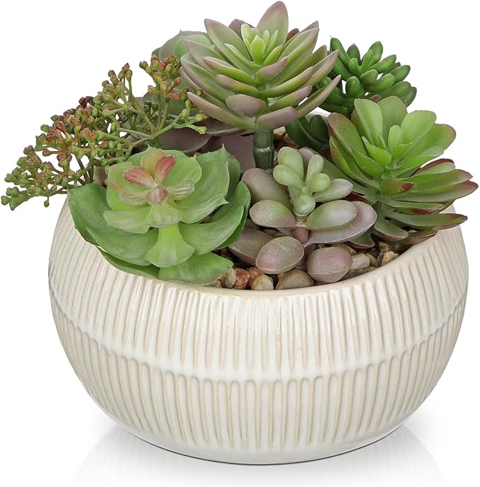 DILATATA Artificial Succulent Plants in Pot 5.5 Inch Fake Succulents Arrangement Potted Plant in White Ceramic Planter Bowl for Home Office Desk Shelf Living Room Bedroom Bathroom Decor