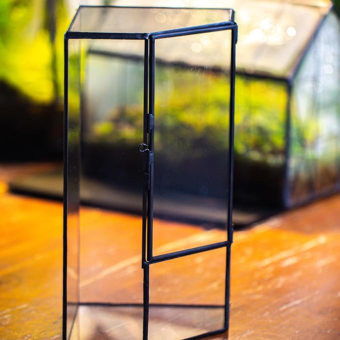 NCYP Front Opening Glass Terrarium with Door for Succulents, Small Plants - Closed Geometric Container Planter, Indoor Tabletop Wall Corner Landscape Decor, Black, 5" x 5" x 9.8" (Terrarium Only)