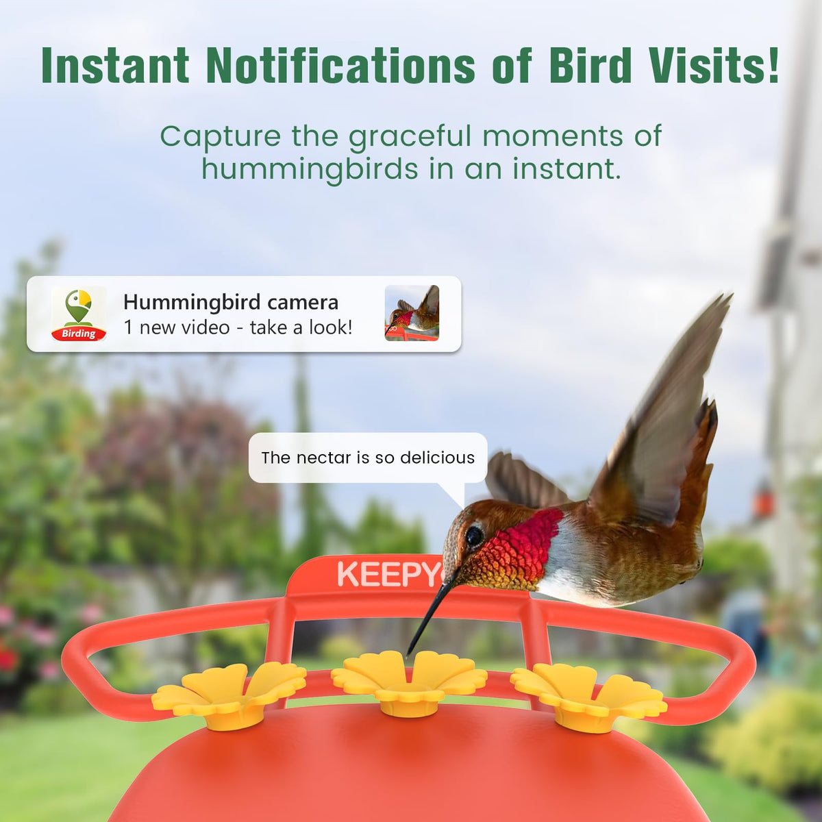 KEEPYOO 2.5K Hummingbird Feeder with Camera Solar Powered, Wireless Smart Bird Feeders for Outdoors, AI Identify Bird Species, Instant Notification, Ant Moat & Bee-Proof, Gift for Birds Lovers (Red)