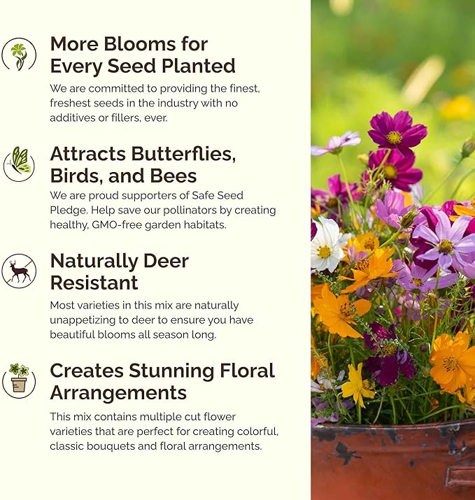 Eden Brothers Crazy for Cosmos Flower Mixed Seeds for Planting, 1/4 lb, 120,000+ Seeds with Cosmos Gloria, Pinkie, Purity | Attracts Pollinators, Plant in Spring or Fall, Zones 3, 4, 5, 6, 7, 8, 9, 10