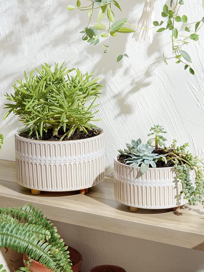 LE TAUCI Succulent Pots, 6.5+8 Inch Ceramic Indoor Plant Pot with Drainage Hole, Modern Round Decorative Flower Pot, Set of 2, Reactive Glaze White