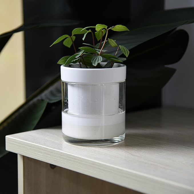Phoenix Vine 4 Inch Self Watering Planter, White Terracotta Clay Pot with Glass Reservoir for Indoor Plants, Herbs, Flowers, Set of 2, 52-B-E-2