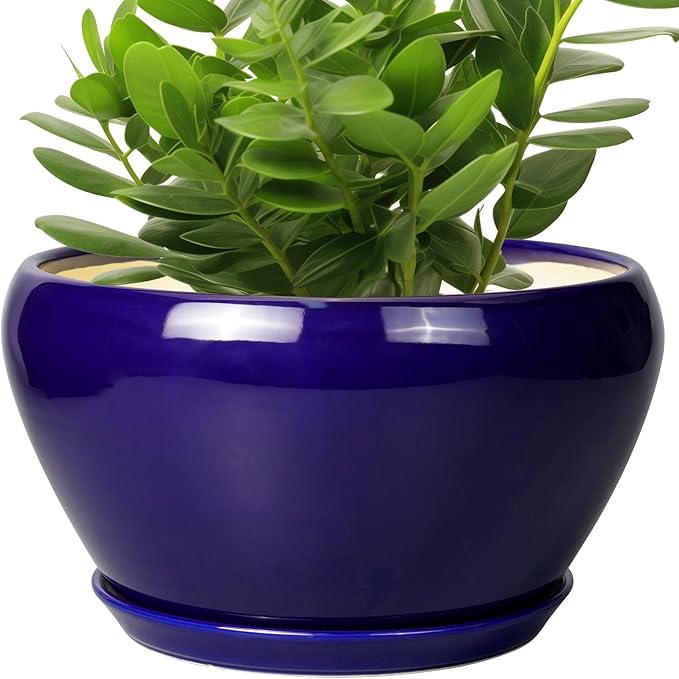 Ceramic Pot for Plants - 11 Inch Modern Round Indoor Planter with Drainage Hole and Planter Saucer for Flowers, Patio Office Home Room Decor, Gardening Gifts for Women & Men, Blue