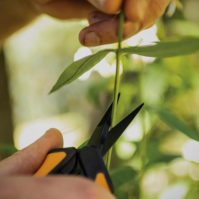 Fiskars 6" Pruning Scissors (2-Pack) for Flowers, Buds, Weeds and Small Plants, Garden Snips with Resin Resistant Nonstick Stainless Steel Blades, Gardening Trimmers with Comfortable Handle