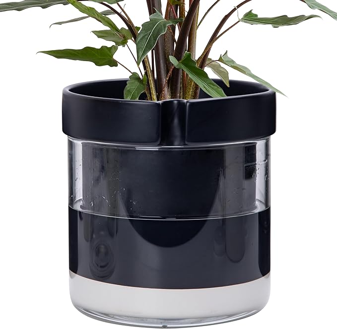 Phoenix Vine 8 Inch Self Watering Terracotta Planter, Black Terracotta Clay Pot with Glass Reservoir for Indoor Plants, Herbs, Flowers, Set of 1, 52-C-H-1
