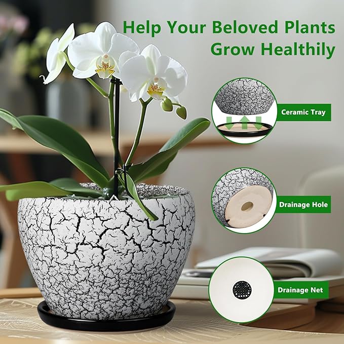 Ceramic Plant Pot 8 Inch - Ceramic Planter for Indoor Plants, Round Flower Pot with Drainage Hole and Saucer, Glaze White and Black