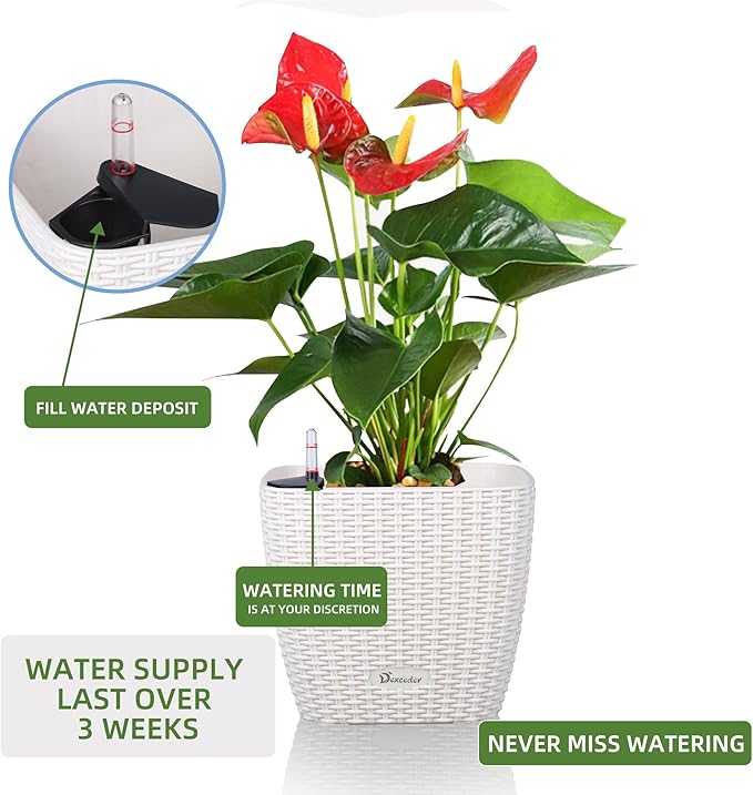 Dexceder 9x8 Self Watering Planter Indoor Outdoor, Inner Mat Design, Thickened Table Flower Plant Pot with Water Level Indicator (Ivory White Rattan)