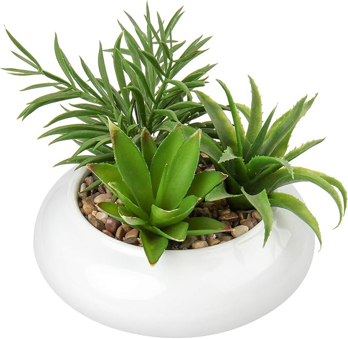 Hollyone Large Artificial Succulents Plants Faux Succulents in Pots Fake Succulent Plastic Potted Plants with White Ceramic Pot for Home Decor Office Desk Bathroom Shelf Living Room Decoration