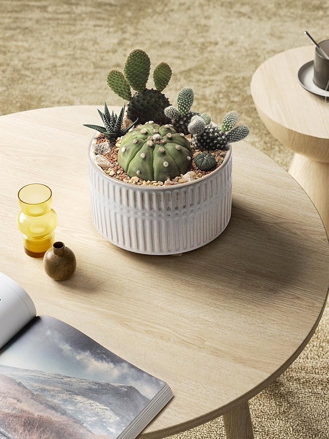 LE TAUCI Succulent Pots, 6.5+8 Inch Ceramic Indoor Plant Pot with Drainage Hole, Modern Round Decorative Flower Pot, Set of 2, Reactive Glaze Star White