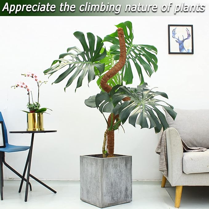 2 Pack Moss Pole, 28 Inch Bendable Moss Pole for Plants Monstera, Moss Poles for Climbing Plants Indoor, Coir Plant Pole Sticks Support Stakes for Potted Plant, Pothos, Philodendron