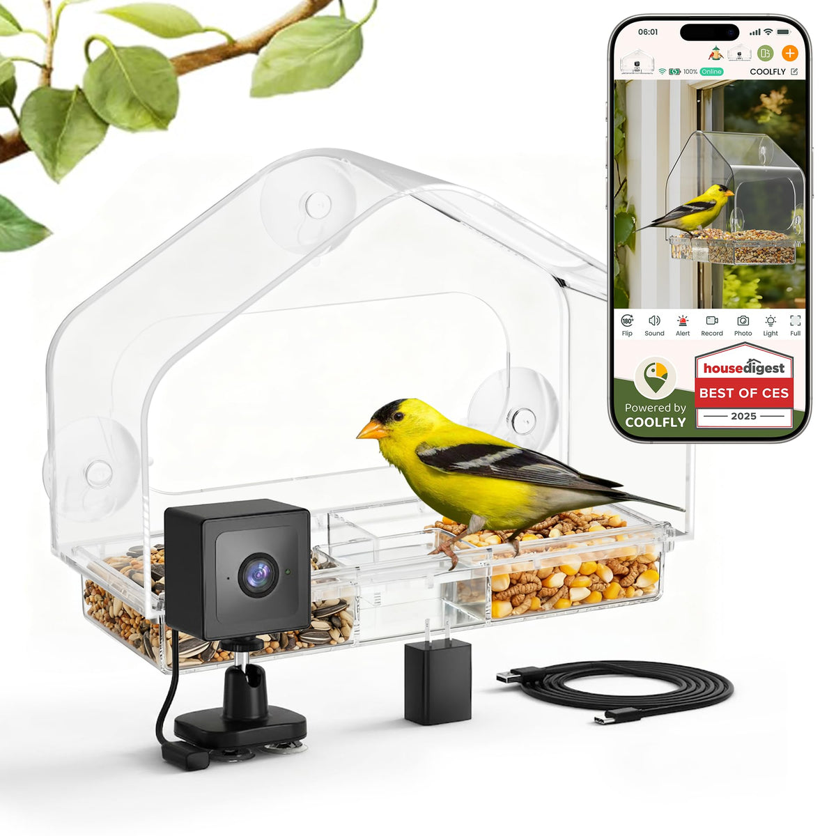 Window Bird Feeder with Strong Suction Cups & Smart Waterproof Bird Camera
