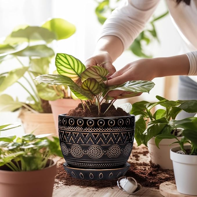 G EPGardening 5.5 Inch Ceramic Planter - Ceramic Plant Pot for Indoor Outdoor Plants, Boho Round Flower Pot with Drainage Hole and Saucer, Gifts for Plant Lovers, Office Garden Home Decor, Black