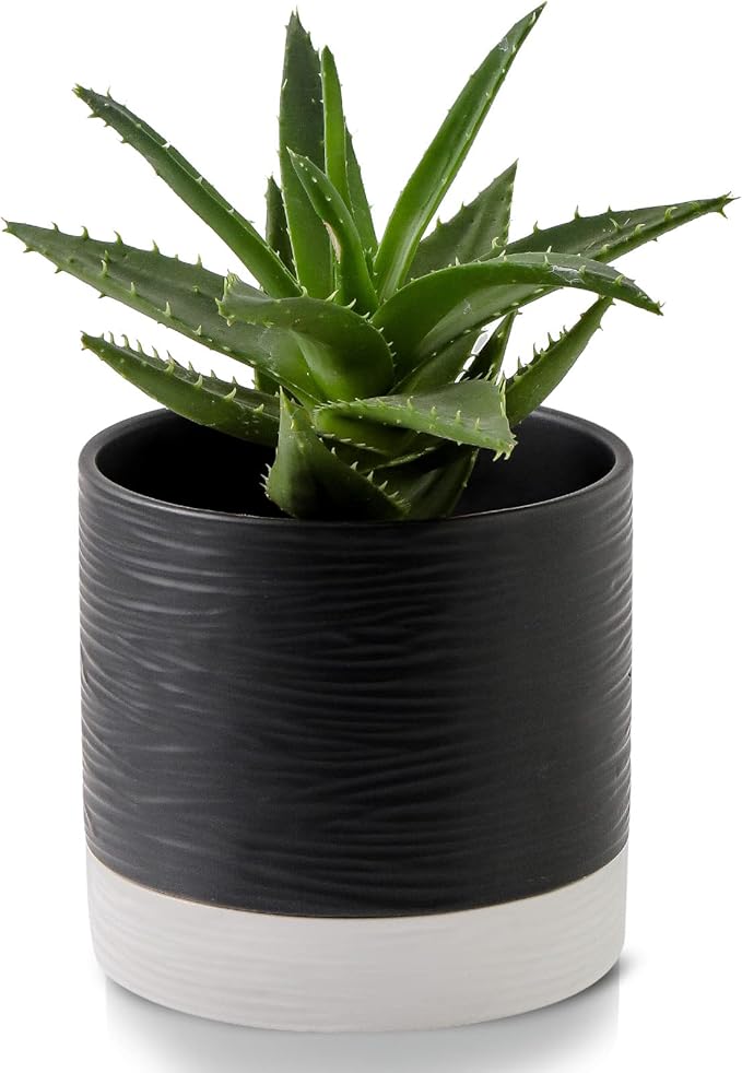 Nihow Ceramic Plant Pot: 6 Inch Planter with Drainage Hole & Saucer for Indoor & Outdoor Plants - Cylinder Round Flower Pot for Succulent/Herbs/Violets - Black & White