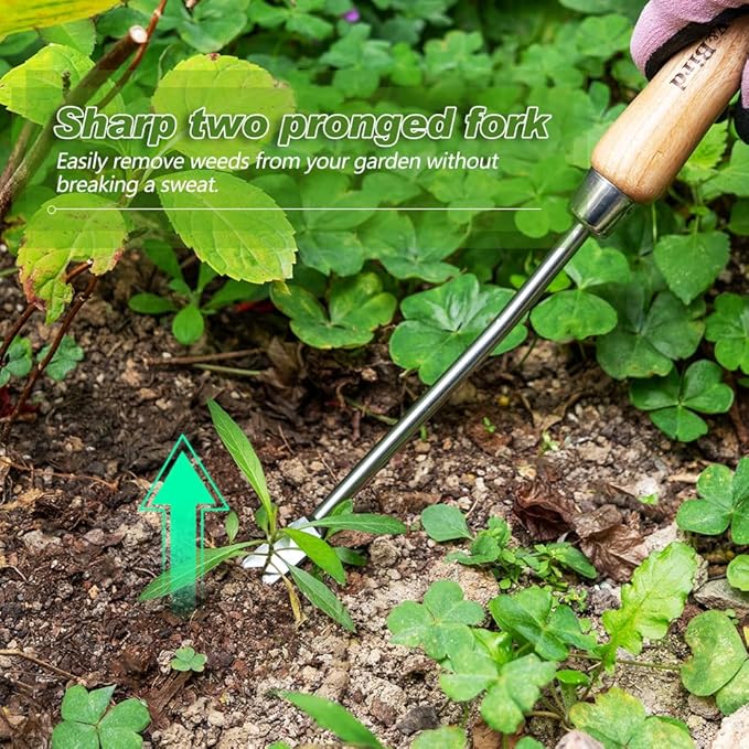 Berry&Bird Dandelion Weeding Tool Crack Weeder Manual Hand Weeder, V-Shaped Fork Easy Weed Removal & Uprooting, Garden Weed Puller Tool for Patio Lawn Yard
