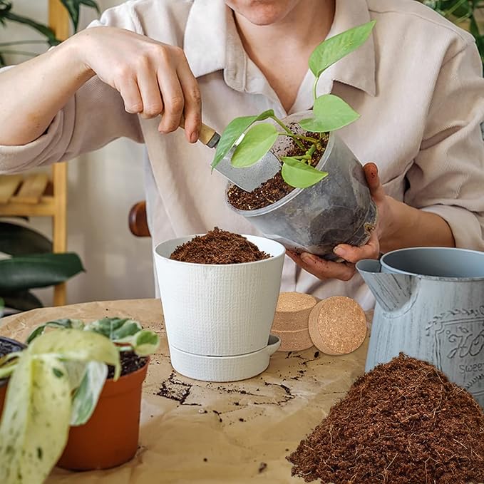 ZeeDix Organic Coco Coir Pellets Potting Soil, 100pcs 30mm Compressed Coconut Fiber Seed Starter Soil Pellets, Coco Peat Soil Discs for Indoor Ourdoor Plants, Herbs, Houseplants, Flowers, Vegetables