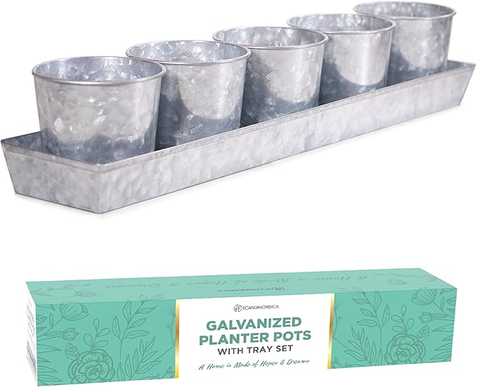 SCANDINORDICA Galvanized Metal Herb Planter, 5 Pots with Drainage Holes, Indoor Outdoor Use, Farmhouse Decor, 19.5x3.9x3.5 inches