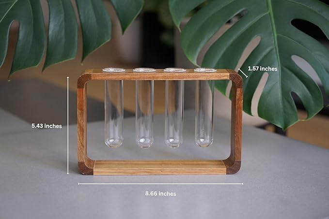 Source & Plot - Plant Propagation Station - Acacia Wood Stand 4 Glass Test Tube Hydroponic Tabletop Rooting Terrarium Planter Rack Home and Office Decor - Last Batch