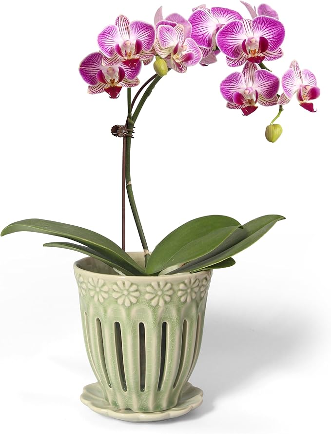 5" Ceramic Orchid Pot with Saucer: Ceramic Orchid Planter for Repotting - Plant Flower Pots for Orchid Indoor Outdoor - Orchid Pots with Holes - Orchid Container with Drainage Holes and Tray