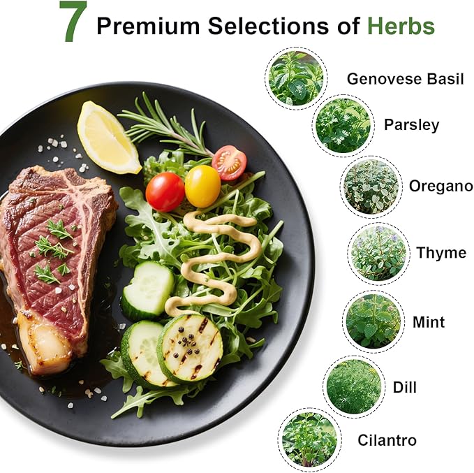 Gourmet Herbs Seed Pod Kit for AeroGarden, iDoo, Ahopegarden, MUFGA Hydroponics Garden with Basil, Parsley, Thyme, Mint, Cilantro, Dill, Oregano - Compatible with All Hydroponics (12-Pod)