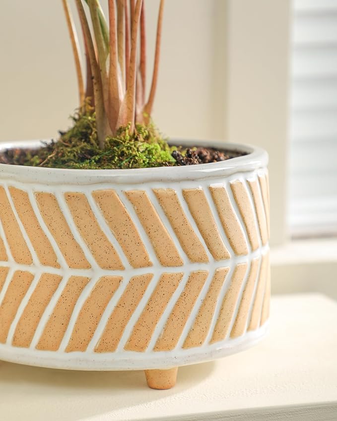 Succulent Pots, 6 Inch Pot for Indoor Plants, Footed Pots for Plants with Drainage, Succulents or Small Plant Indoor Plant Pots, Set of 2