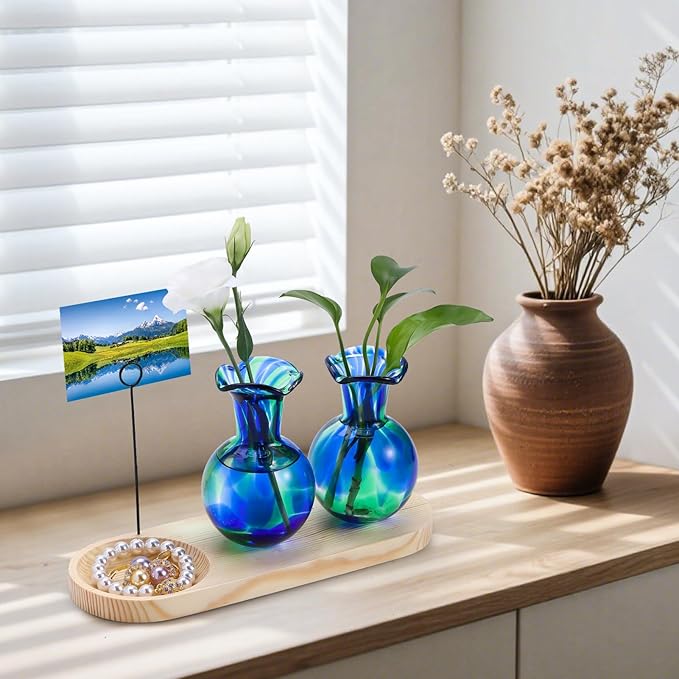 Hand Blown Glass Plant Propagation Stations Plant Terrarium Wooden Stand for Hydroponic Plants Combine Jewelry Tray and Photo Holder Office Home Garden Decor - 2 Bulb Glass Vases