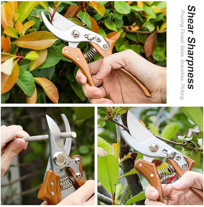 Garden Pruners, Heavy Duty Garden Clippers,Pruning Shears with Adjustable Thumb Lock,Hand Gardening Tools Pruners,Stainless Steel Sharp Gardening Scissors (Classic)