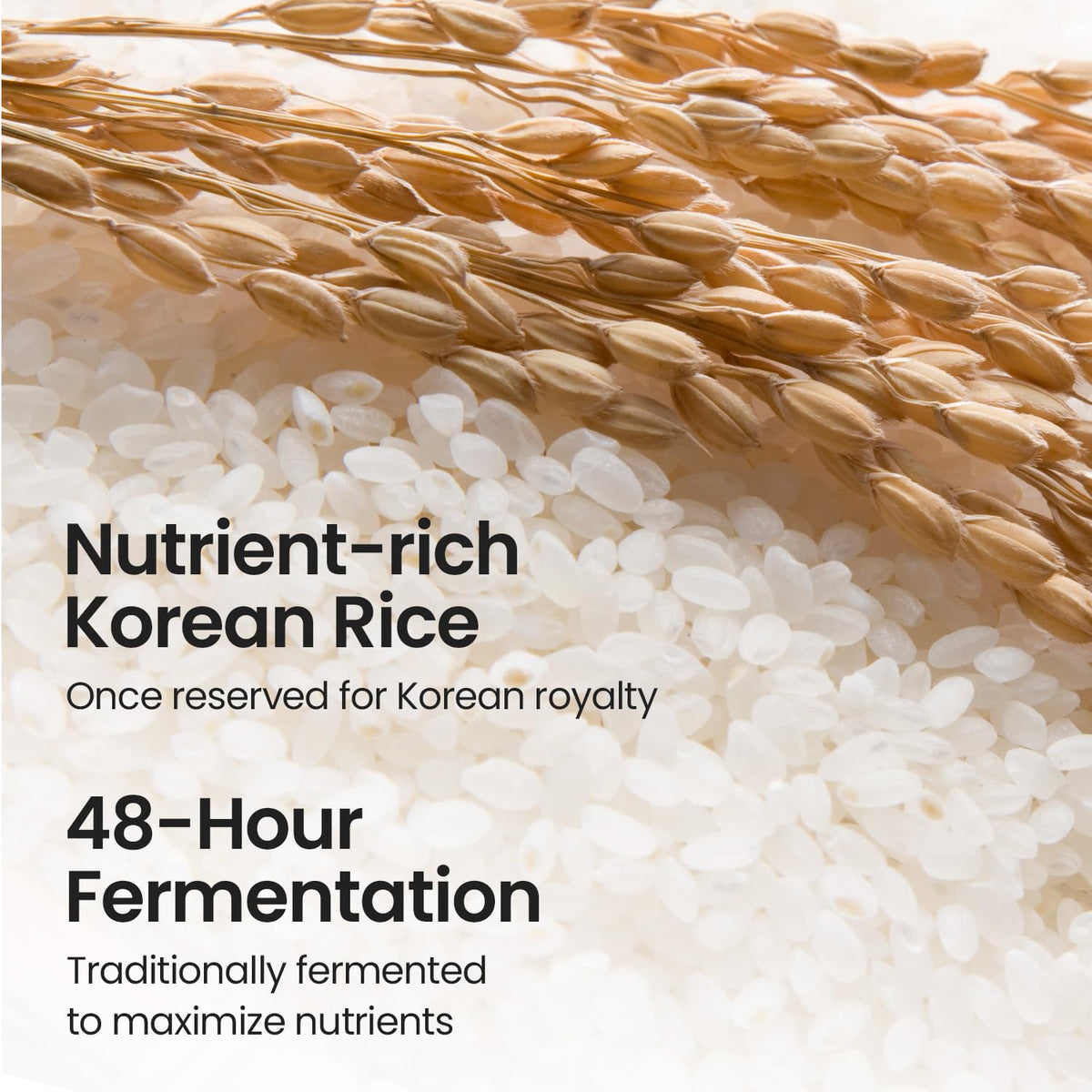 SKINFOOD Rice Starter Kit, Rice Toner, Rice Serum, Rice Moisturizer, and Rice Face Wash for Glass Skin, Korean Skin Care Set, Travel Size Kit, Stocking Stuffers, Gift Set for Women, Skincare Gift Set