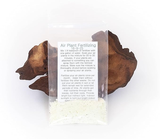 Grab Bag Pack Small & Medium Air Plants - Fertilizer Packet - Wholesale - Bulk - Live Tillandsia - Easy Care House Plant - Succulents, 10 Count (Pack of 1)