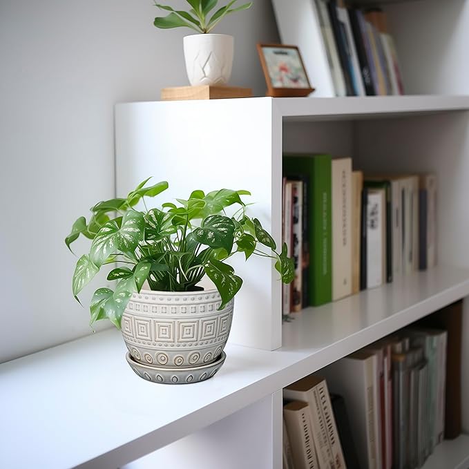 G EPGardening Ceramic Pots for Plants - 5 Inch Plant Pot Indoor with Drainage Hole and Saucer, Outdoor Flower Pot, Decorative Round Planter for Succulent Orchid Snake Plants, White