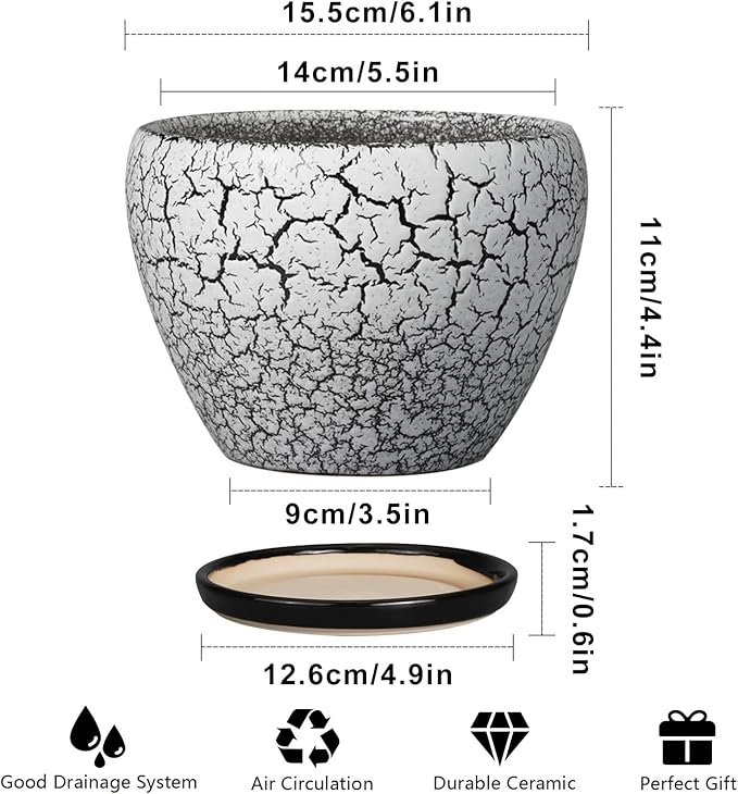 Ceramic Planter Pot - 6 Inch Plant Pot with Drainage Hole and Saucer, Succulent Pot Glaze Round for Indoor Outdoor Plants, White and Black