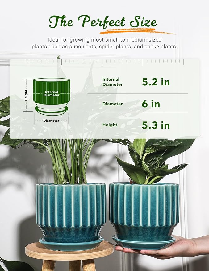 AISBUGUR Plant Pots 6 inch Ceramic Pots for Indoor Plants Set of 2 Flower Pots Unique Crackle Glaze Design Plant Pots with Drainage Hole and Saucer Come with Drainage Nets (Aqua Green)